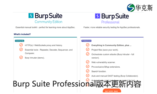Burp Suite Professional版本更新内容